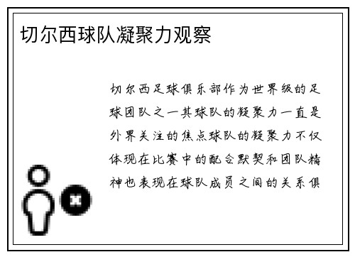 切尔西球队凝聚力观察